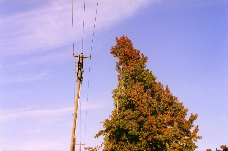 Nearly 400 homes lose power after high-voltage fault