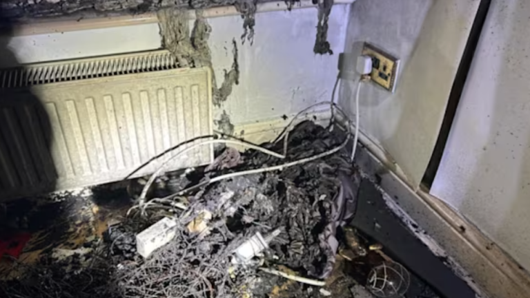 Basildon house fire dog rescue after overloaded socket blaze