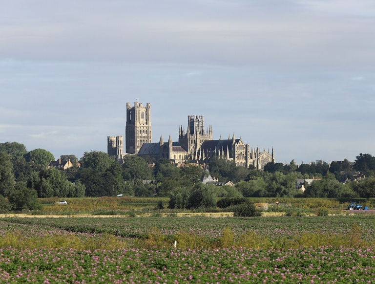 Cambridgeshire County Council backs green investment and recycling upgrades in 2026/27 budget