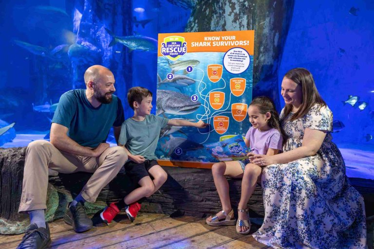 Young Ocean Heroes Wanted As SEA LIFE Launches Summer Adventure Across The UK