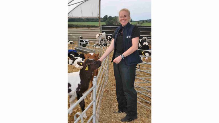 High Cryptosporidiosis Burden in Calves Drives 143% Rise in Antibiotic Treatment Use
