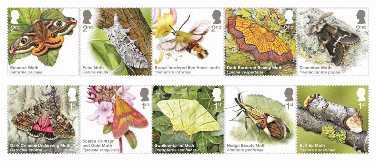 Moths Of The Uk Take Flight On New Royal Mail Special Stamps