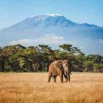 British Airways Announces New Tanzania Flights to Kilimanjaro and Zanzibar for Summer 2027