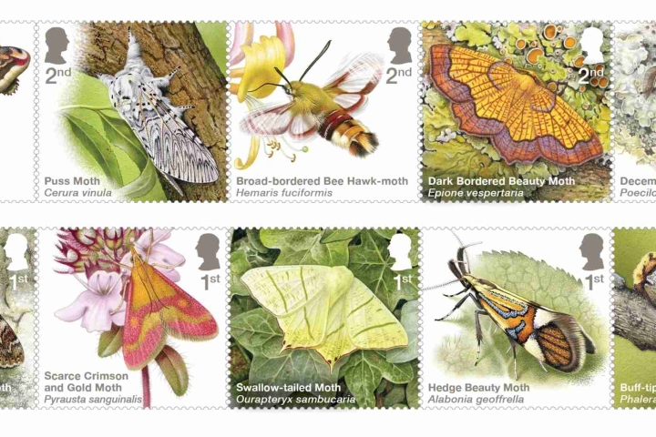 Moths-Stamps.jpg