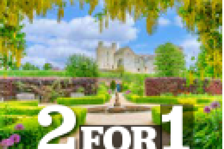 download-6.png